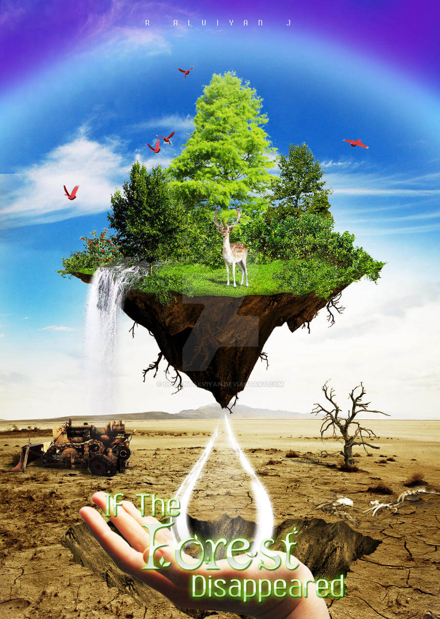 If The Forest Disappeared by ALVIYAN